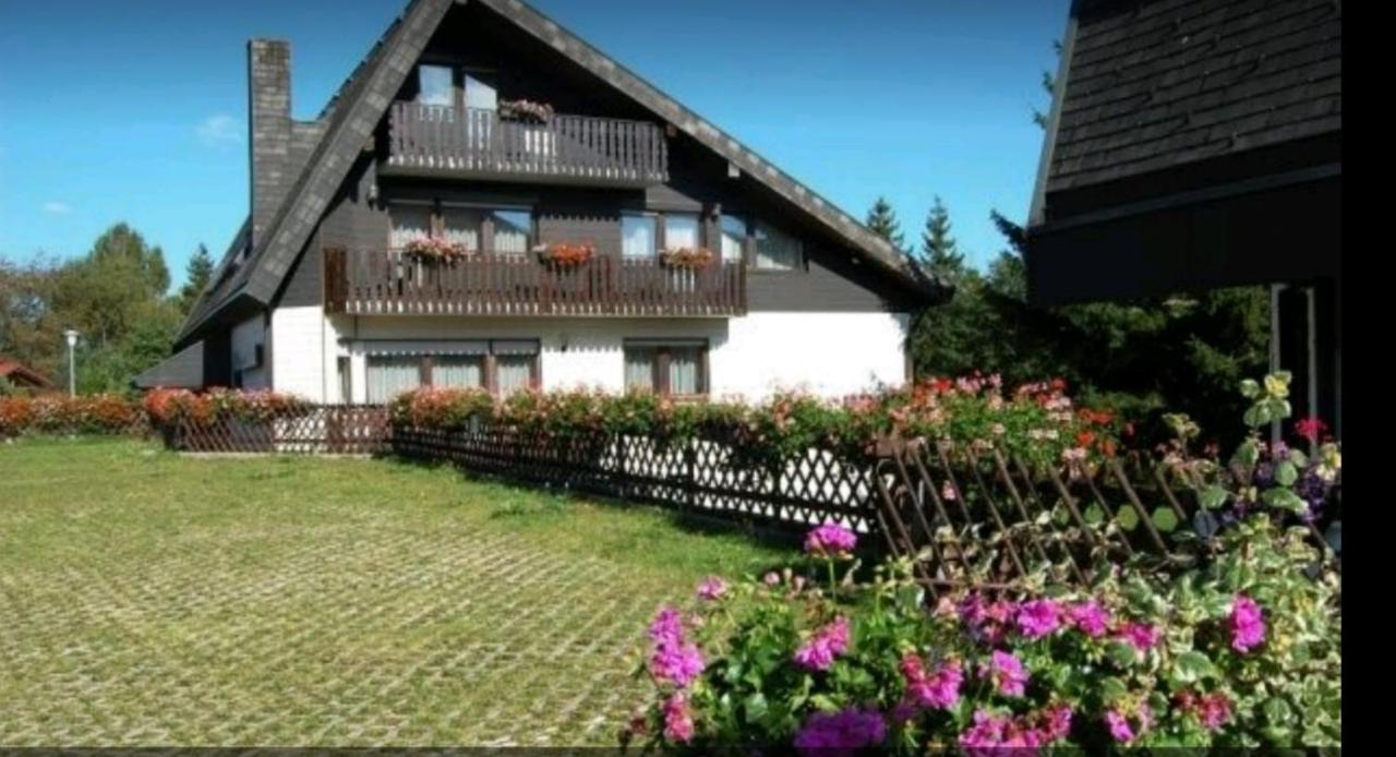 Ferienhaus-Schoenwald Im Herzen Des Schwarzwaldes 1Zimmer Wohnung Mit Terrasse App17 외부 사진