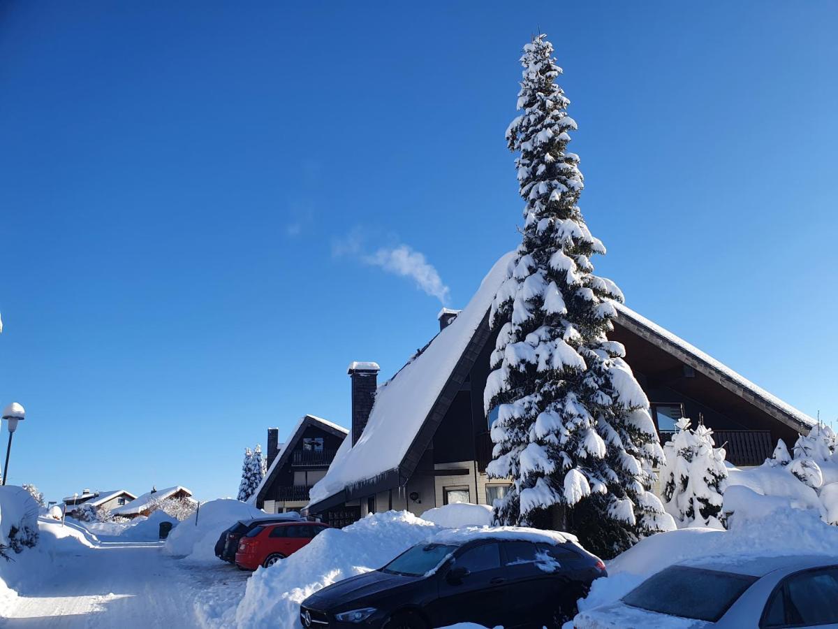 Ferienhaus-Schoenwald Im Herzen Des Schwarzwaldes 1Zimmer Wohnung Mit Terrasse App17 외부 사진