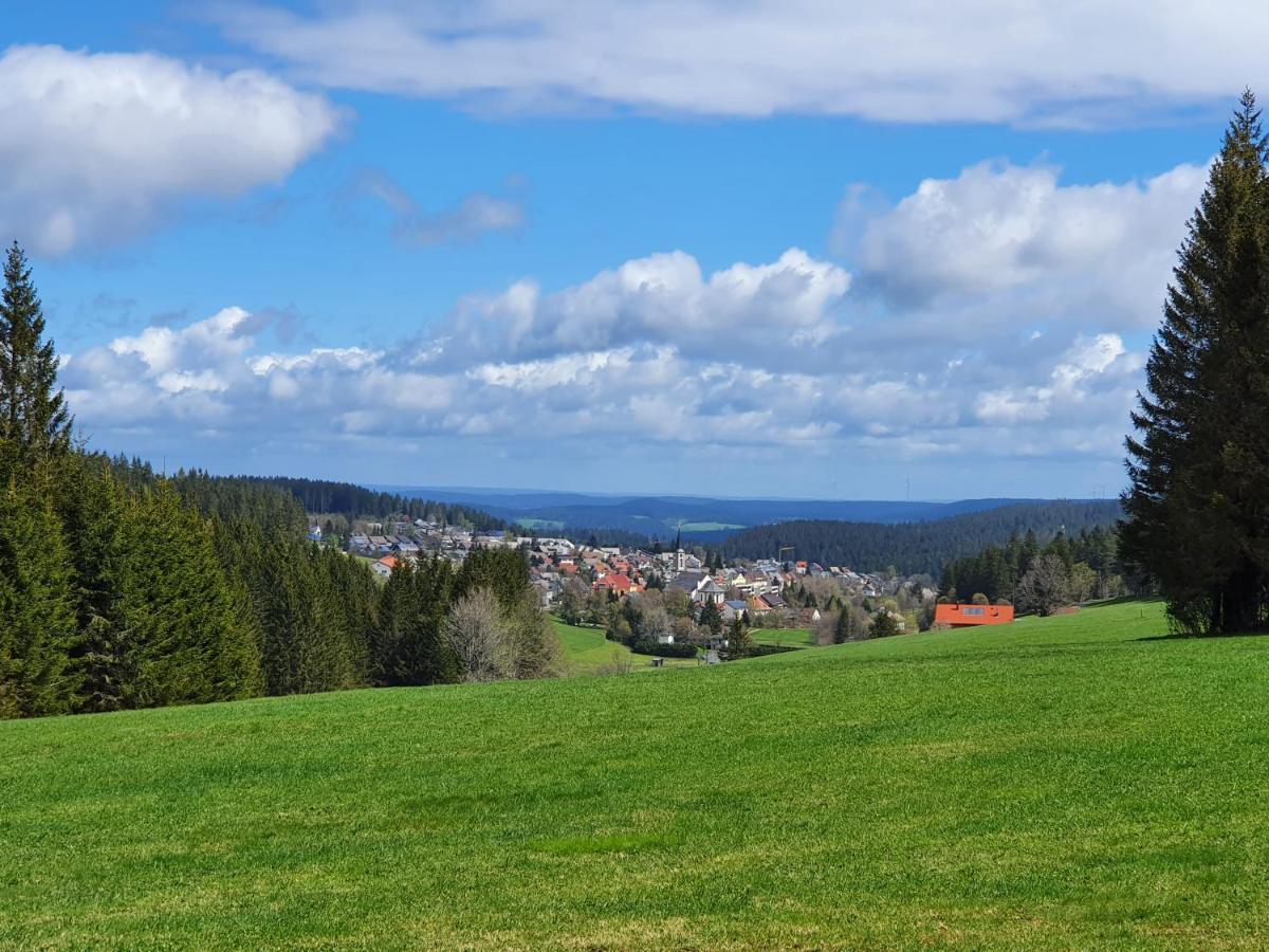 Ferienhaus-Schoenwald Im Herzen Des Schwarzwaldes 1Zimmer Wohnung Mit Terrasse App17 외부 사진